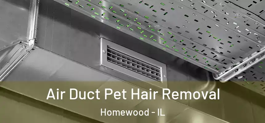 Air Duct Pet Hair Removal Homewood - IL