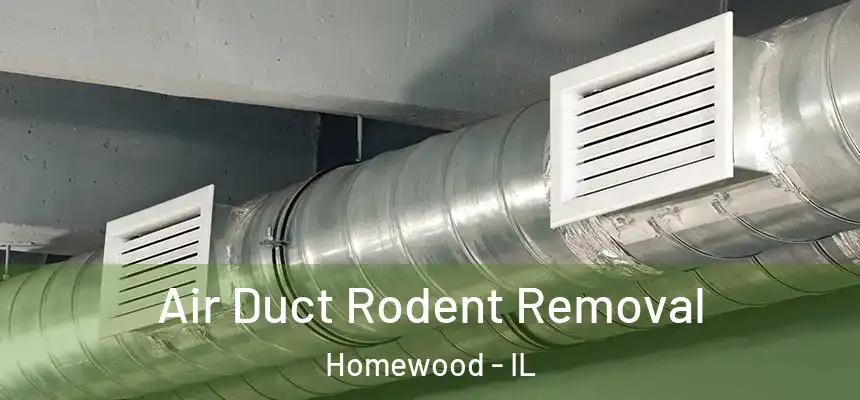Air Duct Rodent Removal Homewood - IL