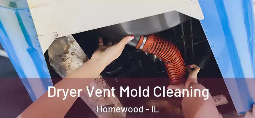  Dryer Vent Mold Cleaning Homewood - IL