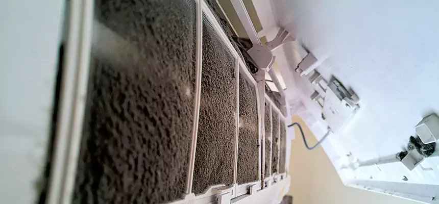 Preventive Air Duct Bacteria Removal in Homewood