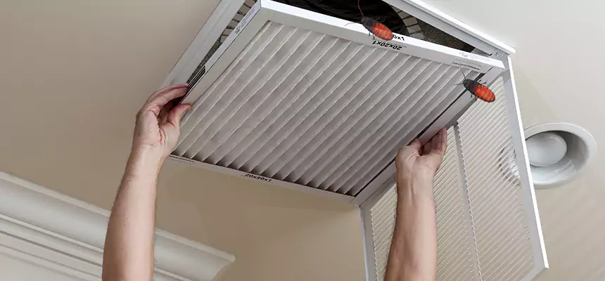 Preventive Cockroach-Proofing for Ducts in Homewood