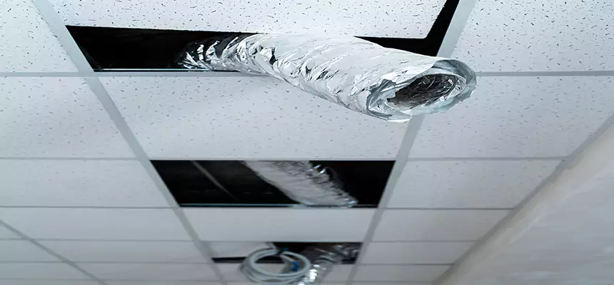 Affordable HVAC Sanitizing After Pest Removal in Homewood