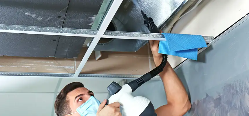 Our Air Duct Rodent Removal Services in Homewood, IL