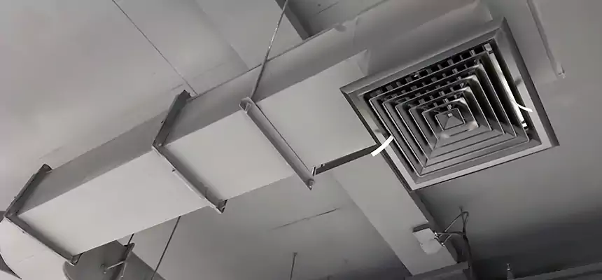 Restorative Allergy Relief Vent Cleaning – Coil, Blower & Housing Detail in Homewood