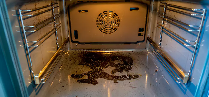 Our Dryer Vent Mold Cleaning Services in Homewood, IL