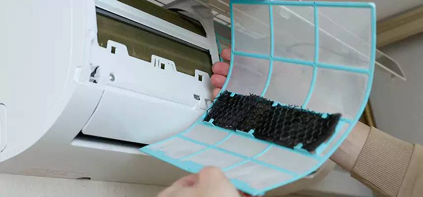 Gentle Ductwork Odor-Control Pet Dander Duct Cleaning in Homewood, IL