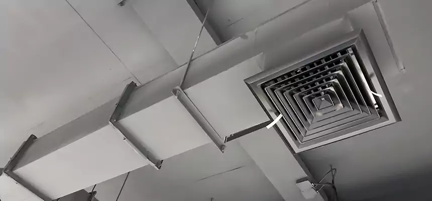 Our Rodent Droppings In Vents Services in Homewood, IL