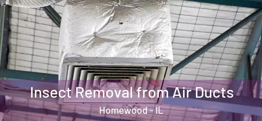 Insect Removal from Air Ducts Homewood - IL