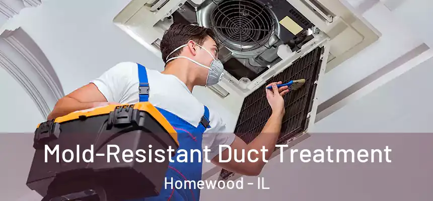 Mold-Resistant Duct Treatment Homewood - IL