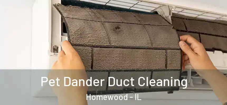 Pet Dander Duct Cleaning Homewood - IL