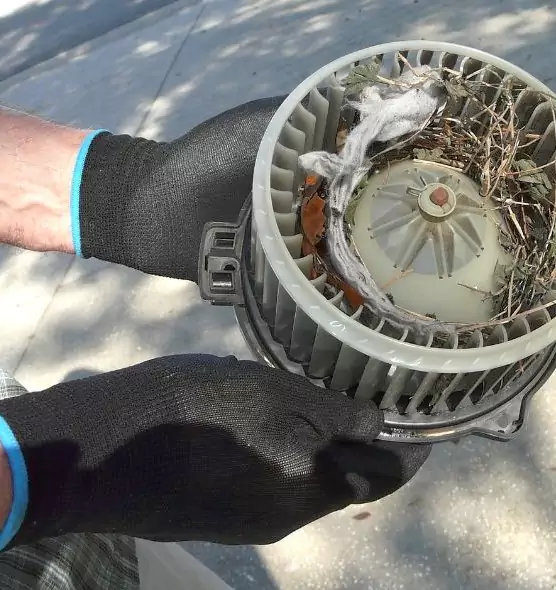 About Air Duct Mice Removal in Homewood, IL