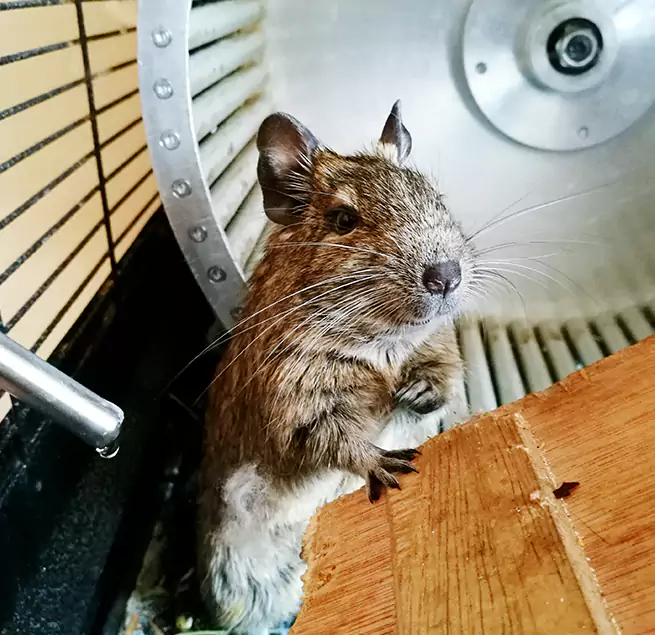 Why Homeowners & Businesses Trust Us Homewood, IL